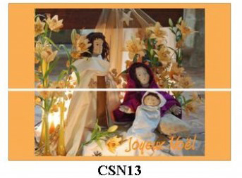 CSN13 - carte simple 105 x 148 mm - 1 €